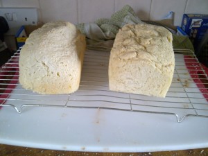 Gluten free bread